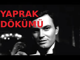 Filim Panosundaki Pin
