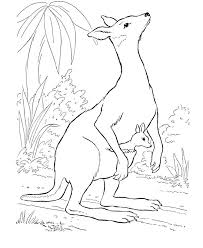 Search through 623,989 free printable colorings at getcolorings. 500 Animal Coloring Images Ideas Coloring Pages Coloring Books Animal Coloring Pages