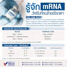 ชนิดของ อาร์เอ็นเอ (rna) มีทั้งหมด 3 ชนิด คือ 1. V Ph4ttaulfbam