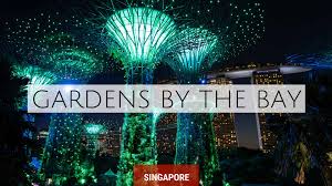 The gardens by the bay nearest mrt station is bayfront. Gardens By The Bay Singapore Nerd Nomads