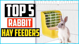 Diy repurposed swing set chicken coop need a chicken coop? How To Make A Hay Rack Youtube