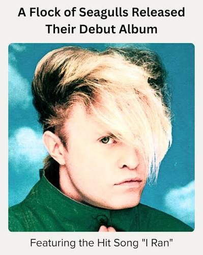 What Is The Flock Of Seagulls Haircut?