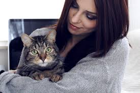 MALEY UND KATIE. MEINE ZWEI KATZENMONSTER.