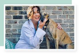 Find a veterinarian by city. Downdog Veterinary Clinic Ballantyne Village In South Charlotte Nc