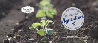 Crop hail insurance covers crops on a per acre basis, so even if only a portion of a field is damaged by a hail storm, you still have coverage. Rain And Hail Photos Facebook