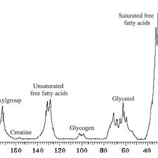 pdf further glycogen decrease during