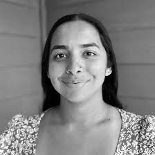 Law Firm Velocity Leadership