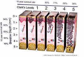 Pin On Learning Derm