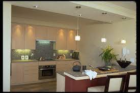 7) stained wood kitchen cabinet styles can be modern. Korean Kitchen Houzz