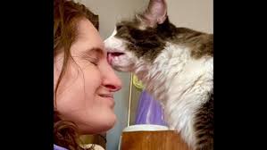 My new film, titled: “I'm Gonna Run to Dollar General….Need Anything?”  Starring Bonnie Herring