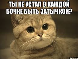 images?q=tbn:ANd9GcTB-inJwOs1183bFiuWVcXrWIGzZaIiQv46QRWidH7k7LeuQB8ytA