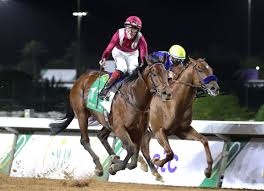 Welcome to equibase.com, your official source for horse racing results, mobile racing data, statistics as well as all other horse racing find everything you need to know about horse racing at equibase.com. Mishriff Bests Charlatan In Saudi Cup Knicks Go Fourth