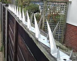 Check spelling or type a new query. Wall Spikes 1 M Ws1014 1 Razorwireuk
