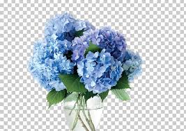 Check spelling or type a new query. Vase Cut Flowers Hydrangea Blue Png Clipart Annual Plant Artificial Flower Baby Blue Blue Ceramic Free
