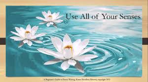 Review: 'The Apex Is Nothing' At At Pratt Manhattan Gallery | Observer