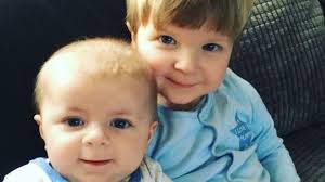 Baby brothers mauled by Staffordshire bull terrier named and pictured