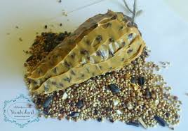 Begin by putting the pine cone on the paper plate. Pine Cone Bird Feeder