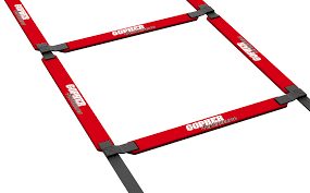 Gopher Ladder Turlingdrome Creative Services