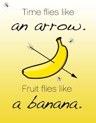 Time Flies Like An Arrow Fruit Flies Like A Banana Pun Time Flies Like An Arrow Fruit Flies Like A Banana Lavengro Fruit Flies Banana Good Jokes