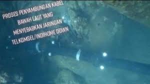 Layanan internet tak normal ini berdampak luas. Video Ikan Hiu Gigit Kabel Dalam Laut Beredar Kabel Jasuka Telkomsel Suara Bekaci