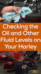 Checking Oil On Harley And All Other Fluids Milwaukee Eight Fluid Harley