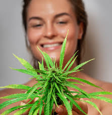 Tienda de CBD online