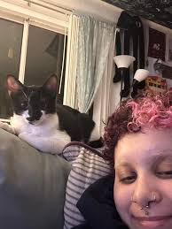 Got some cute and funny poses of my silly Sophie skunk 🦨 😻😹