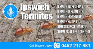 See more of action pest control on facebook. Ipswich Termites Domestic Pest Control