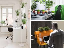 • decoracion con plantasplantas de interior | plantas decorativas para interiores 2019. La Mejor Decoracion De Oficinas Con Plantas Y Mucho Mas