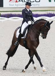 Dorothee schneider is one of the most successful dressage riders in germany. Pin On Beautiful Horse