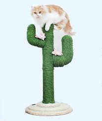 Cactus zipper pouch the cactus zipper pouch is crocheted using the modified single crochet stitch for tapestry crochet which creates straight vertical lines of stitches. Cactus Cat Scratcher Tree Cat Furniture Cactus Cat Diy Cat Scratcher