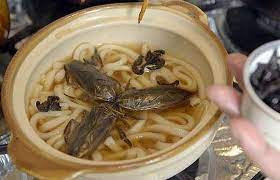 Top 10 Gross Foods Around The World Their Taste Pickytop
