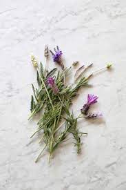 Lavender (lavandula angustifolia) is the most versatile of all essential oils. Everything You Need To Know About Lavender Plus 5 Kinds To Grow Gardenista
