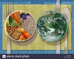 Place Setting With Healthy Food Pie Chart Plate Next To