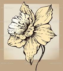 Narcissus Tattoo Narcissus Flower Tattoos Narcissus Flower Pencil Drawings Of Flowers