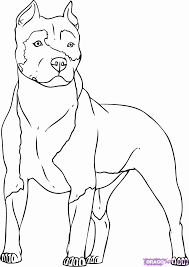Buy pit bull coloring book : Pitbull Coloring Pages Widetheme Coloring Home