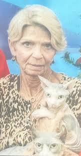 Obituary for Theresa Drino