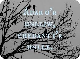 Proverb Birds Of A Feather Flock Together Quotes 15 Gorgeous Welsh Proverbs By Which To Live Your Life Black Holes And Revelations Wales Proverbs