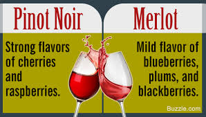 2018 the pinot project california pinot noir ($13). Pinot Noir Vs Merlot Do You Know What S The Difference Tastessence
