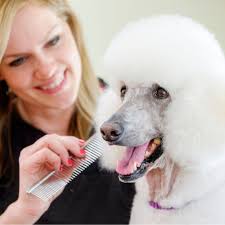 Daryl Conner, MPS Meritus, CMCG