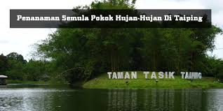 Kok bisa kalimat monyet pakai jas hujan malah yang direkomendasikan? Taman Tasik Taiping Diindahkan Dengan Penanaman Semula Pokok Hujan Hujan