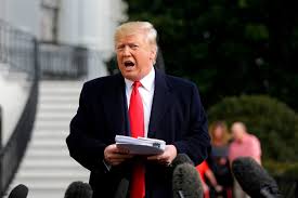 Members of the online community often refer to themselves as centipedes and have been associated with the. Donald Trump Human Parasite Is Now Telling People Not To Vaccinate Their Kids Against Coronavirus Vanity Fair