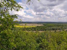 Faptul că berzele albe aleg. Peml Gvjdmjkmm