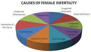 11 Effective Acupunture Points For Infertility In Women