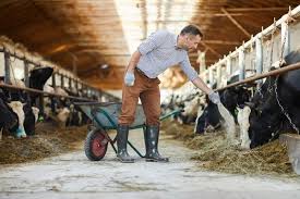 Canada » ontario » toronto » davisville. Growth Opportunities In The Global Animal And Pet Nutrition Ingredients Market Look Promising