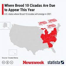 John cooley, a professor and researcher at the university of connecticut. This Brood 10 Cicadas Map Shows The U S States Where The Insects Will Appear In 2021