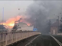We did not find results for: Cobargo Mallacoota Bushfires Before And After Photos Show Victorian Fire Devastation