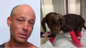 He Wrapped a Puppy in a Blanket—Then Beat Her Until She Couldn't Move. Now  the Public Wants Justice