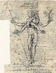 Pin Su Leonardo Da Vinci Androgino