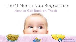 11 month nap regression tips for getting back on track